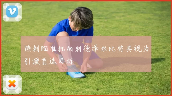 热刺瞄准托纳利德泽尔比将其视为引援首选目标