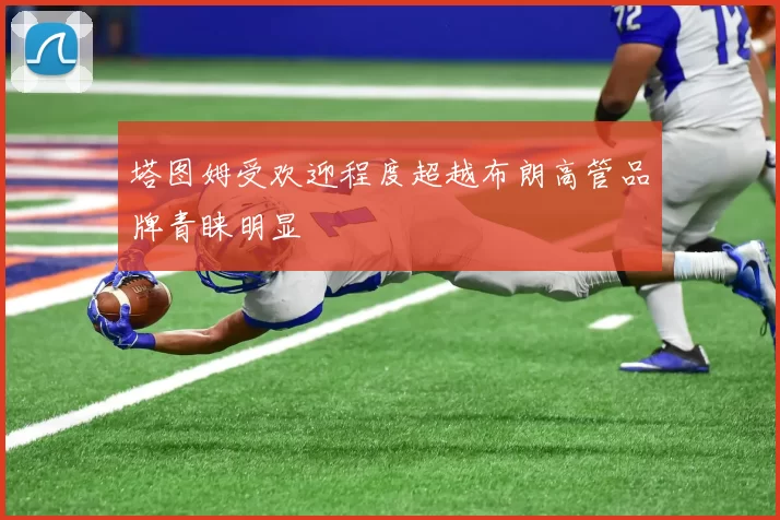 塔图姆受欢迎程度超越布朗高管品牌青睐明显